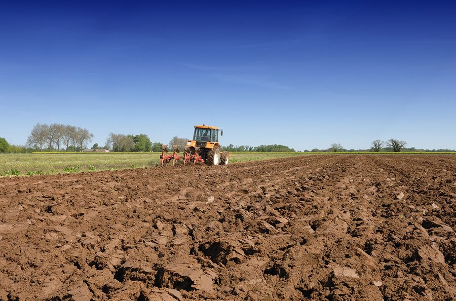 Image de la catégorie Sous-soleur